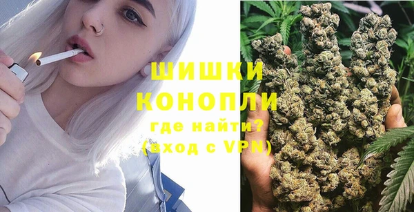 PSILOCYBIN Богородск