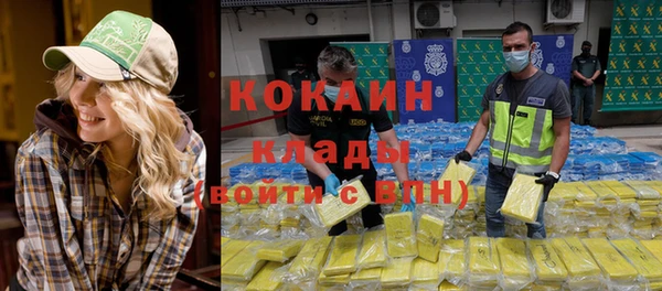 дурь Богородицк