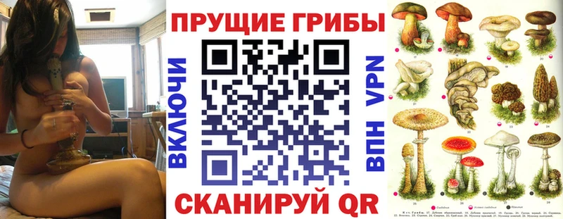 Галлюциногенные грибы прущие грибы  OMG как войти  Карпинск 